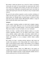 Summaries, Notes 'Suicidālas uzvedības riska faktori', 13.