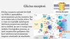 Presentations 'Glicīns', 10.