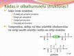 Presentations 'Olbaltumvielas - proteīni', 7.