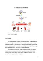 Research Papers 'Postrtraumatiskā stresa sindroms', 7.