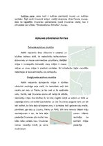 Research Papers 'Teritorijas apbūves plānošanas formas un funkcionālais zonējums', 5.