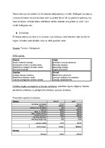 Summaries, Notes 'Mobilās lietotnes biznesa koncepcija', 3.