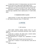 Term Papers 'Somijas kosmētikas uzņēmuma OY "Lumene" mārketinga audits Baltkrievijas tirgū', 15.
