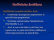 Presentations 'Stafilokoki', 22.