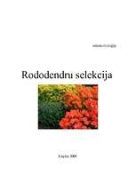 Research Papers 'Rododendru selekcija', 1.