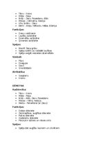 Summaries, Notes 'Mitoloģija - grieķu dievi', 3.