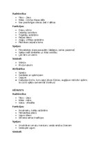 Summaries, Notes 'Mitoloģija - grieķu dievi', 8.