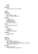 Summaries, Notes 'Mitoloģija - grieķu dievi', 9.