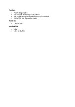 Summaries, Notes 'Mitoloģija - grieķu dievi', 10.