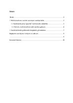 Research Papers 'Multikulturālisma aspekti sociālajā darbā', 3.