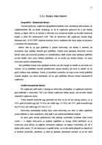 Term Papers 'Mārketinga komunikāciju plāns SIA "AVG grupa"', 11.
