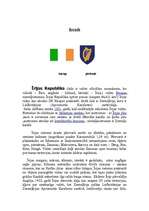 Research Papers 'Īrija ', 3.