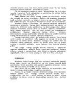 Research Papers 'Tuaregu etnosa materiālās un garīgās kultūras mantojums', 14.