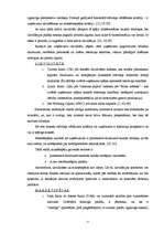 Term Papers 'SIA „Ratiņš” saimnieciskās darbības un mārketinga analīze', 11.