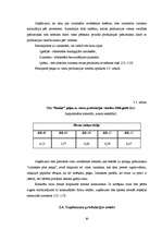 Term Papers 'SIA „Ratiņš” saimnieciskās darbības un mārketinga analīze', 20.