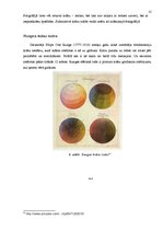 Research Papers 'No dabas objektiem iegūto krāsu toņu klasificēšanas un izmantošanas iespējas pla', 13.