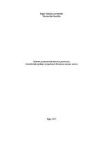 Research Papers 'Automātiskās aprēķinu programmas "Settlement analysis" analīze', 1.