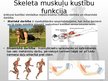 Presentations 'Muskuļu fizioloģija', 41.