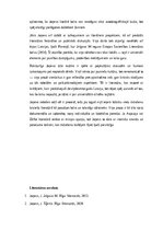 Essays 'Jānis Joņevs – paaudzes balss un deviņdesmito gadu mīts latviešu prozā', 2.