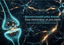 Presentations 'Šūnu membrānas un jonu kanāli', 1.