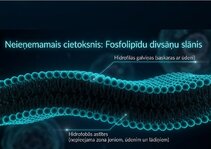 Presentations 'Šūnu membrānas un jonu kanāli', 3.