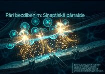 Presentations 'Šūnu membrānas un jonu kanāli', 12.
