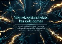 Presentations 'Šūnu membrānas un jonu kanāli', 15.