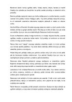 Summaries, Notes 'Renesanses filosofija', 13.