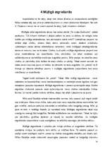Research Papers 'Nīče un ideja par pārcilvēku', 14.