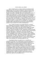 Essays 'Kā tiek veidota cenu politika?', 1.