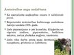 Presentations 'Inovācijas laukos - netradicionālā lauksaimniecība', 19.