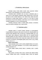 Research Papers 'Notekūdeņu apsaimniekošana un attīrīšana Rēzeknes rajonā', 7.