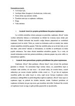 Summaries, Notes 'Komunikācijas stratēģijas projekts', 3.