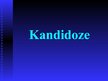 Presentations 'Kandidoze', 1.