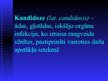 Presentations 'Kandidoze', 2.