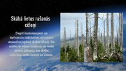 Presentations 'Globālās vides pārmaiņas - ozona slānis un skābais lietus', 7.