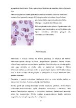 Research Papers 'Medicīnas parazitoloģija', 11.