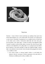 Research Papers 'Medicīnas parazitoloģija', 12.