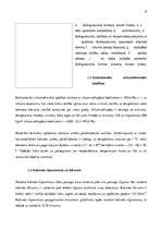 Research Papers 'Koksne būvniecībā', 8.