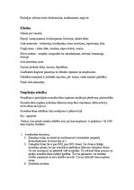 Summaries, Notes 'Klīniskā pataloģija - Imunitāte', 7.
