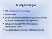 Presentations 'Informācijas tehnoloģiju organizāciju funkcijas', 6.