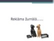 Presentations 'Reklāmas projekts suņu barībai', 16.