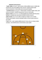 Research Papers 'Izplatītākās basketbola traumas un izvairīšanās no tām', 6.