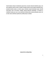 Essays 'Sociālās pētniecības metodes skaidrojums un apraksti', 4.