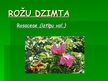 Presentations 'Rožu dzimta', 1.