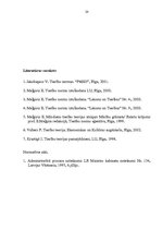Research Papers 'Tiesību normu interpretācija - jēdziens, veidi, nozīme', 20.
