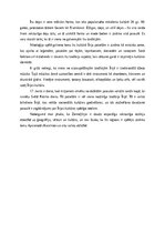 Essays 'Ziemeļīrija - vispārējs raksturojums un loma', 2.