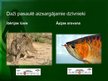 Presentations 'Bioloģiskās vides aizsardzība', 16.