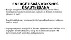 Presentations 'Tehniskās prasības biomasas uzglabāšanai un iekraušanai', 5.