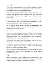 Summaries, Notes 'Aspazijas lugas “Sidraba šķidrauts” analīze', 7.
